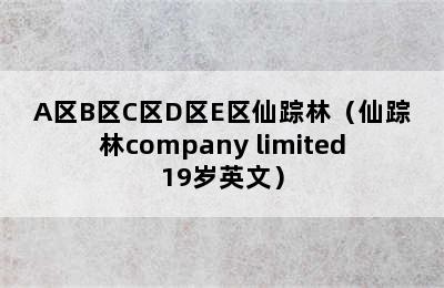 A区B区C区D区E区仙踪林（仙踪林company limited19岁英文）